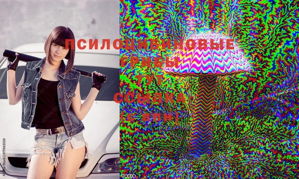 а пвп мука Верхний Тагил